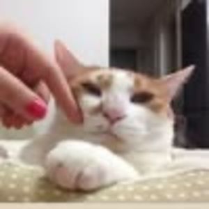 Meet your Posher, Yeon-mi yeo